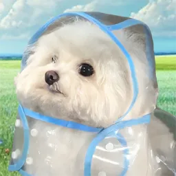 COAT DOG