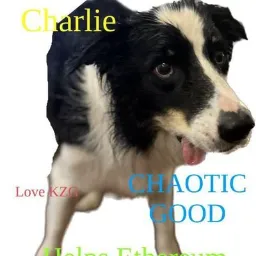 Charlie