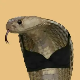 Co Bra
