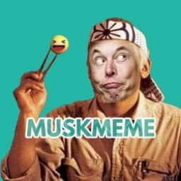 MUSK MEME 