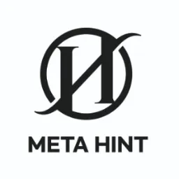 MetaHint