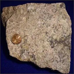 Rare Earth Elements (REEs)