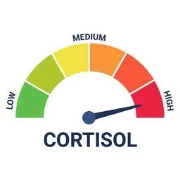 Cortisol Level