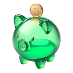 Piggy Bank Coin