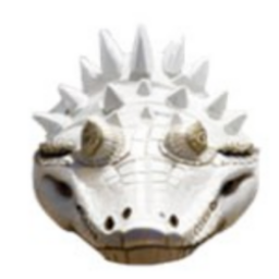 LACOSTOKEN