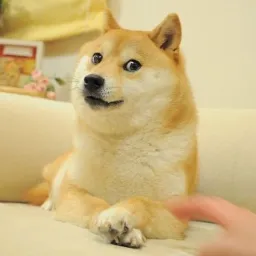Cocoro