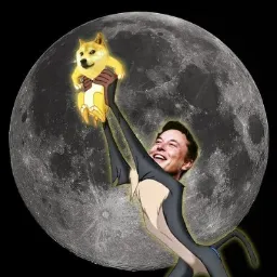 DOGE TO MOON