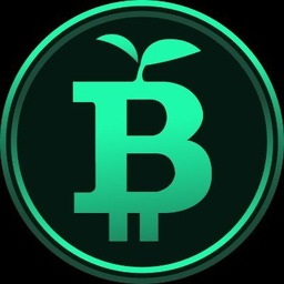 Green Bitcoin