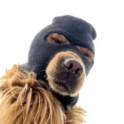 Ski Mask Dog 