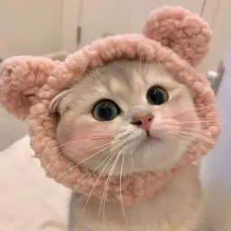MIMICAT