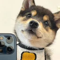 Little Manyu 