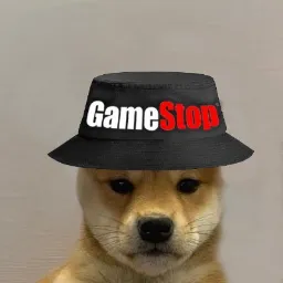 Dog Wif Gamestop Hat