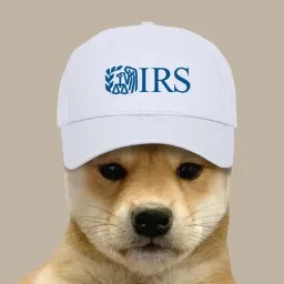 dogwiftax