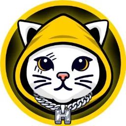Cat in Hoodie