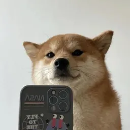 SelfieDogCoin 