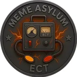 Meme Asylum Experiment