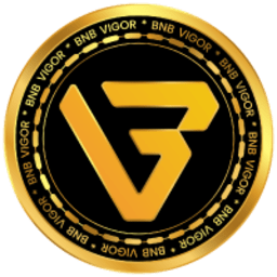 VIGOR TOKEN